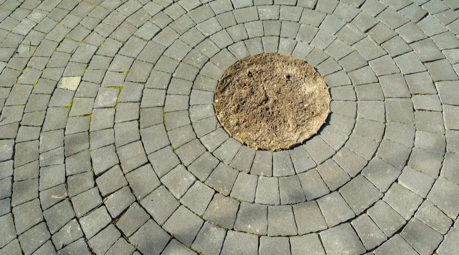 Keeping Your Paved Areas in Good Condition in Hackensack | Hackensack Paving Company